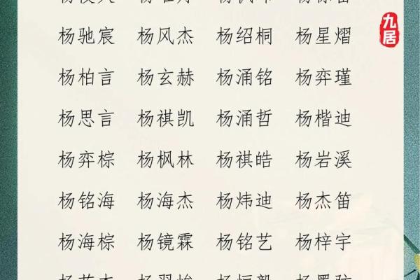 杨姓男孩名字大全-杨姓男孩起名字大全-杨姓名字大全姓名