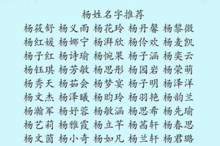 杨姓男孩名字大全-杨姓男孩起名字大全-杨姓名字大全姓名