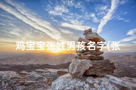 晚上11点出生的属鸡男孩宜用什么字取名字合适姓名
