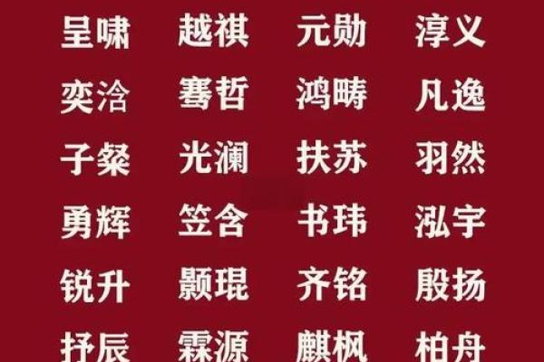 早上出生的属虎男孩如何起名，宜用什么字姓名