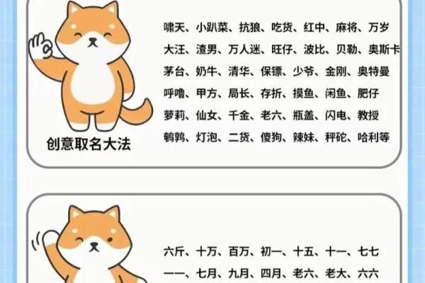 早上九点出生的属狗男孩取什么名，适合什么字姓名