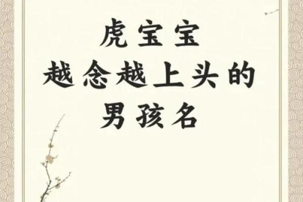傍晚6点出生的属虎男孩如何起名，宜用什么字姓名
