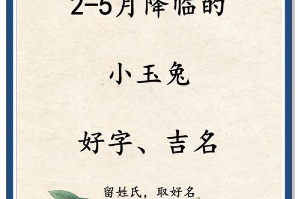 推荐给属兔未时出生的男孩起的名字姓名