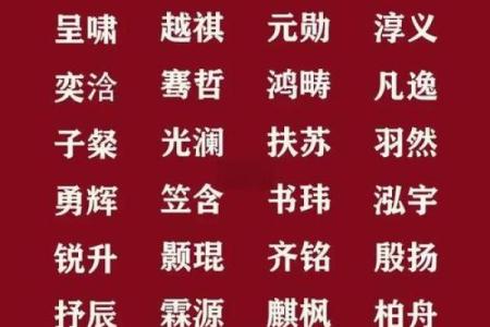 早上出生的属虎男孩如何起名，宜用什么字姓名