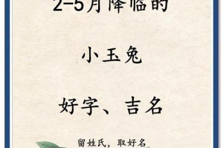 推荐给属兔未时出生的男孩起的名字姓名
