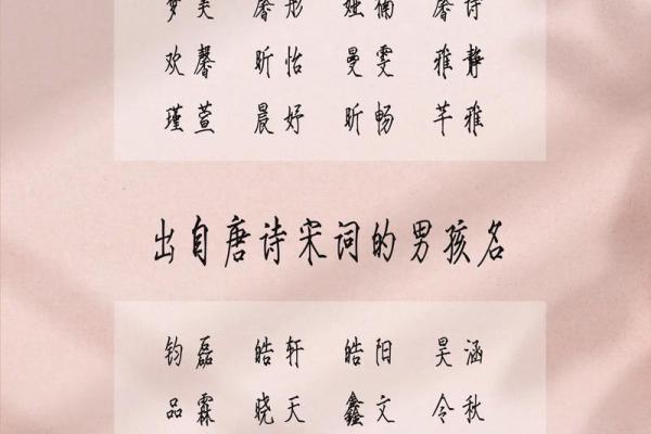 2019年3月25号卯时出生的男孩起名方法姓名