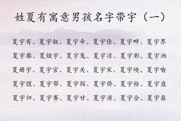 夏姓男孩名字大全-夏姓男孩起名字大全-夏姓名字大全姓名