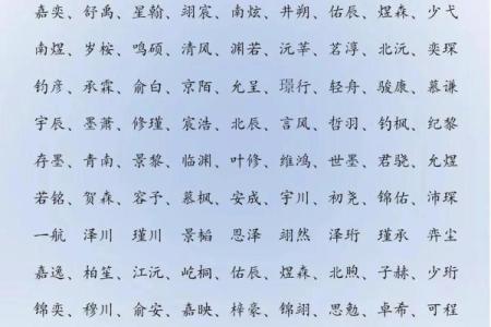 2019年6月5号寅时出生的男孩起名时要注意什么姓名