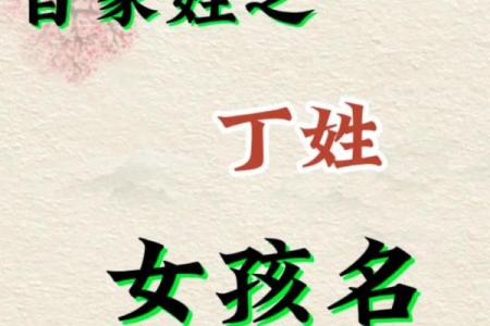 丁姓女孩名字大全-丁姓女孩起名字大全-丁姓名字大全姓名