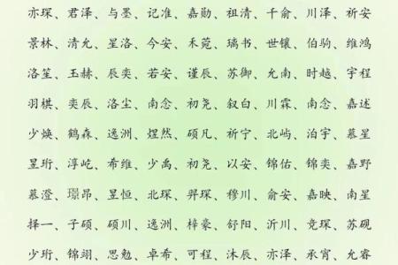 属蛇丑时出生的男孩怎么取名字，宜用什么字姓名