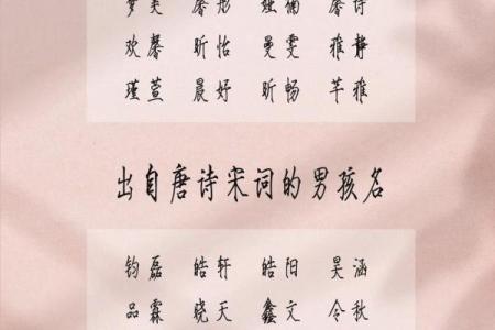 2019年3月25号卯时出生的男孩起名方法姓名