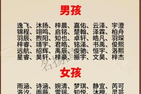 2019年6月24号丑时出生的男孩起名时要注意什么姓名