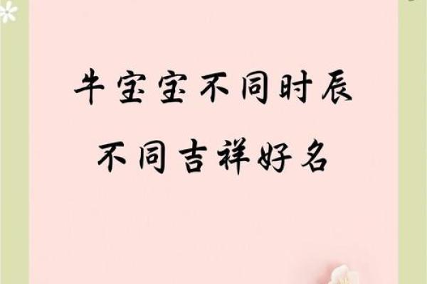 下午3点出生的属牛男孩怎么取名好姓名