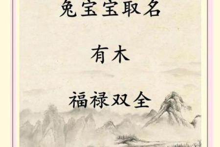 2019年5月2号卯时出生的男孩要怎么起名字姓名