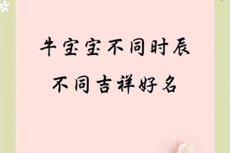 下午3点出生的属牛男孩怎么取名好姓名