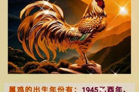 怎么样给早上8点出生的属鸡男孩起名字好姓名