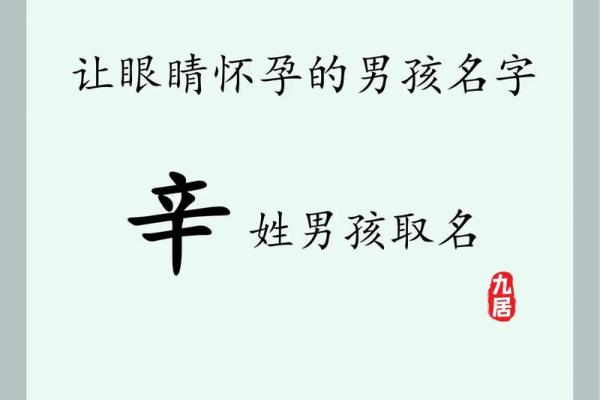 2019年3月30号辰时出生的男孩起名方法姓名