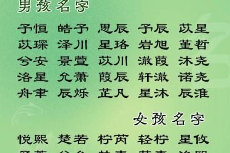 2019年3月17号丑时出生的男孩起名方法姓名