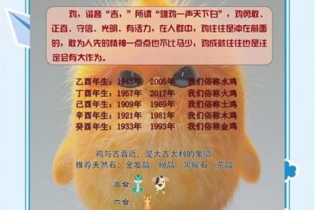 11月份出生的属鸡男孩起什么名字好姓名