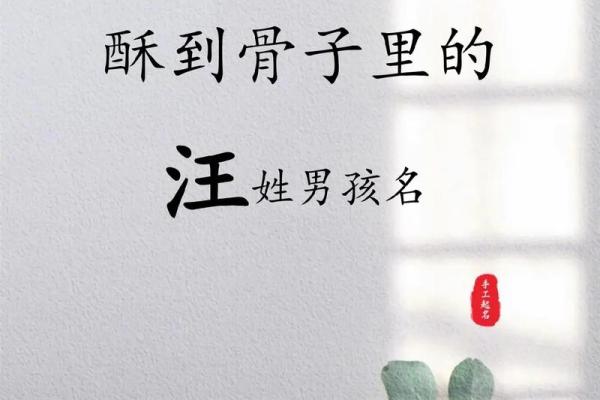 汪姓男孩名字大全-汪姓男孩起名字大全-汪姓名字大全姓名