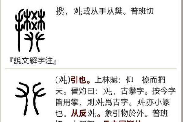 姓樊的名人-姓名学-华易算命网姓名
