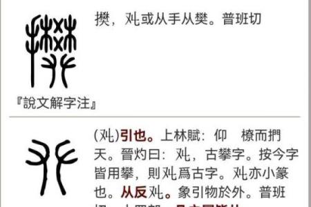 姓樊的名人-姓名学-华易算命网姓名