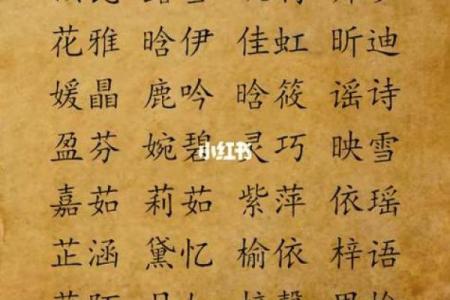 凌晨3点出生的属鼠男孩起什么名字合适姓名