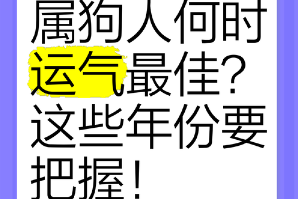 早上六点出生的属狗男孩如何取名，用什么字好姓名
