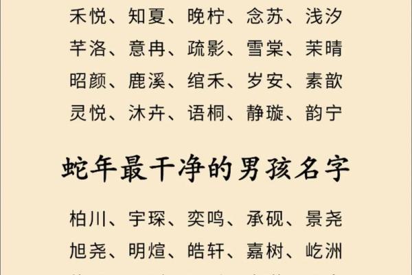 晚上12点出生的属蛇男孩怎样起名，宜用什么字姓名