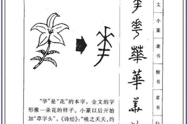 姓牧的名人-姓名学-华易算命网姓名