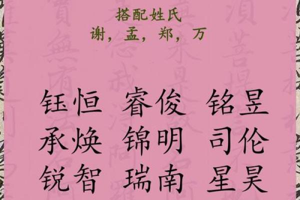 2019年4月11号辰时出生的男孩应该起什么样的名字姓名