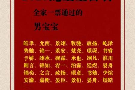 晚上12点出生的属蛇男孩怎样起名，宜用什么字姓名