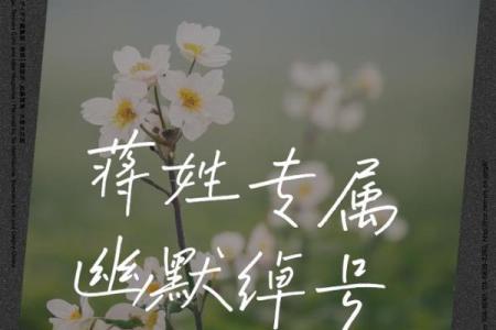 蒋姓女孩名字大全-蒋姓女孩起名字大全-蒋姓名字大全姓名
