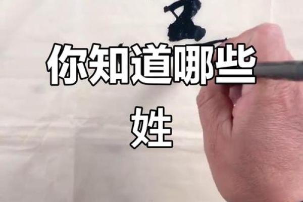 姓谯的名人-姓名学-华易算命网姓名