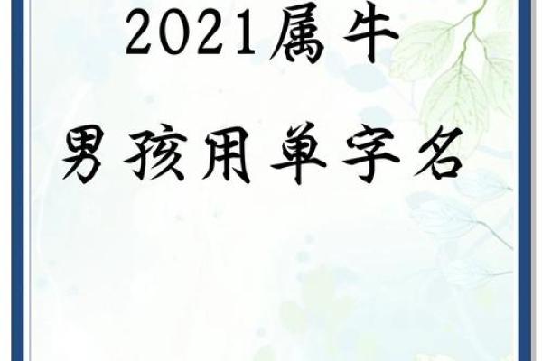 如何给傍晚6点出生的属牛男孩起名好姓名