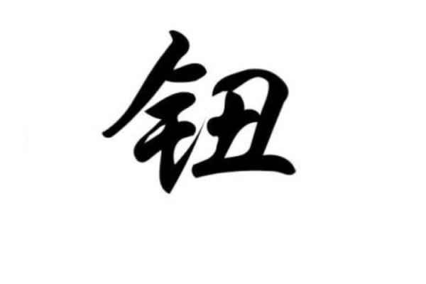 钮姓女孩名字大全-钮姓女孩起名字大全-钮姓名字大全姓名