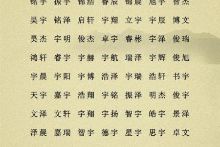 12月份出生的属鸡男孩起什么名字好姓名
