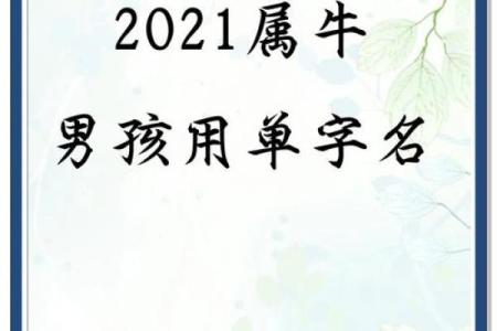 如何给傍晚6点出生的属牛男孩起名好姓名