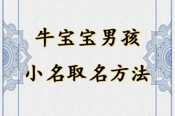 要如何给凌晨3点出生的属牛男孩取名字姓名