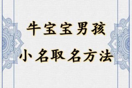 要如何给凌晨3点出生的属牛男孩取名字姓名