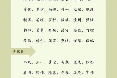 2019年3月31号丑时出生的男孩起名时要注意什么姓名