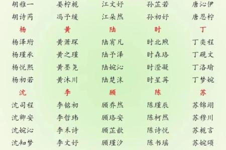 2019年3月16号巳时出生的男孩要怎么起名字姓名