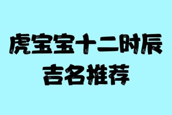 凌晨五点出生的属虎男孩如何起名，应用什么字。姓名
