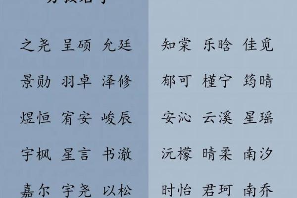 属猪辰时出生的男孩如何取名字，宜用什么字姓名