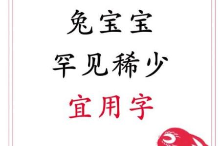 给属兔巳时出生的男孩起名宜用什么字姓名