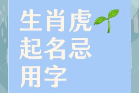 凌晨2点出生的属虎男孩如何起名，宜用什么字姓名