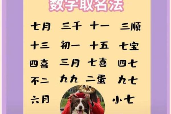 早上八点出生的属狗男孩怎么取名，用什么字好姓名
