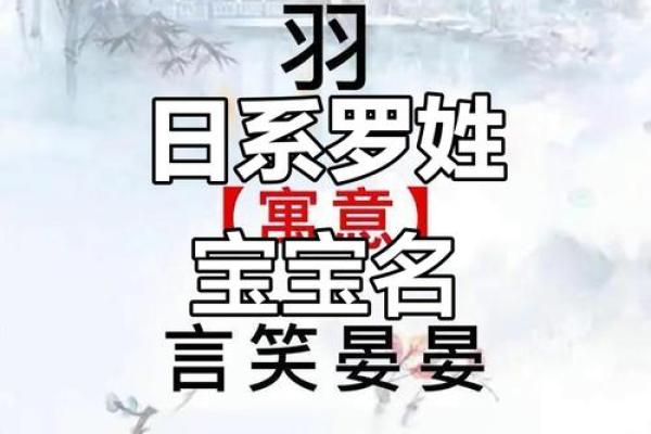 罗姓男孩名字大全-罗姓男孩起名字大全-罗姓名字大全姓名