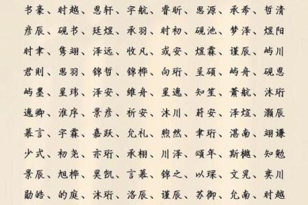 2019年3月28号申时出生的男孩如何起名姓名