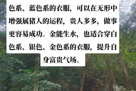 怎样来给属猪亥时出生的男孩起名姓名